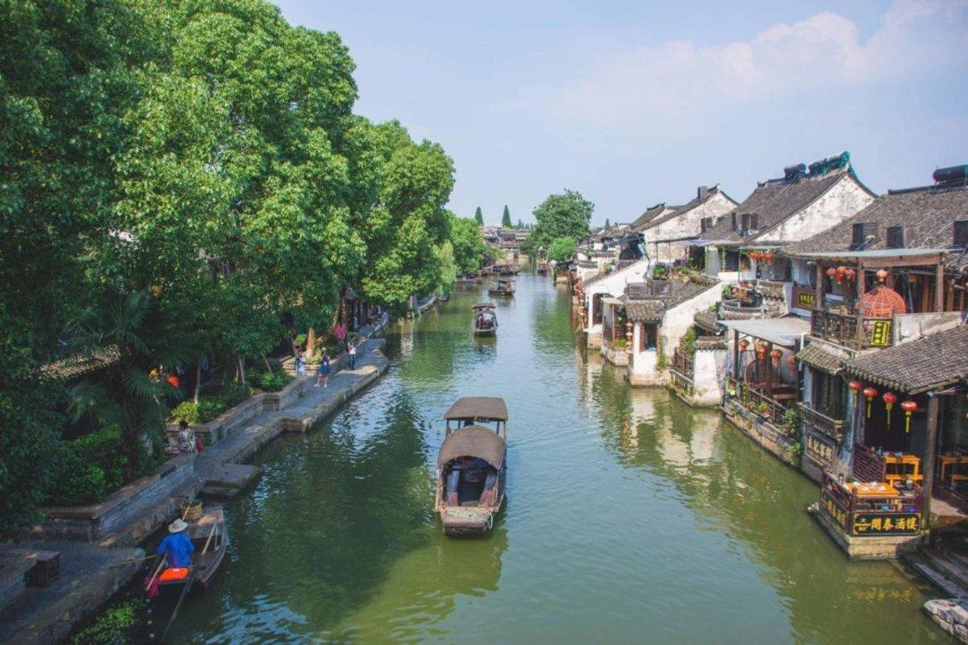 狐狸的旅程